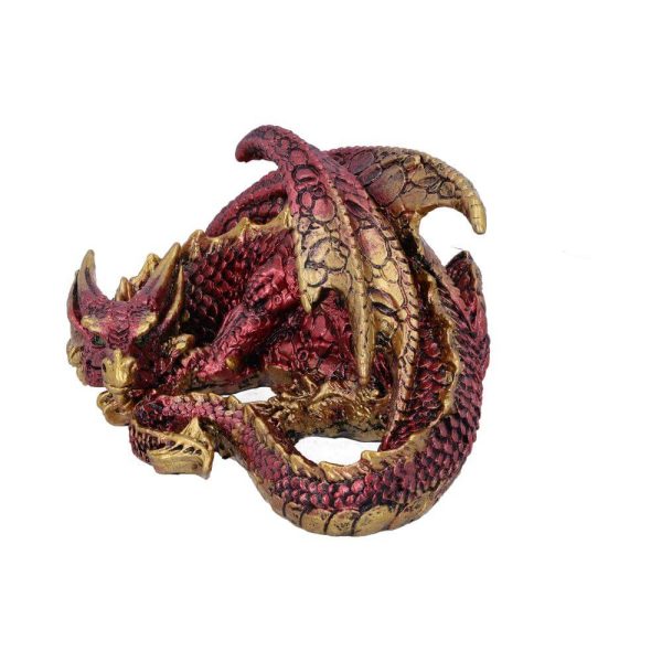 Aaden dragon - Image 4