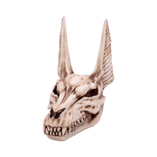 Anubis God of the Dead skull - Image 2